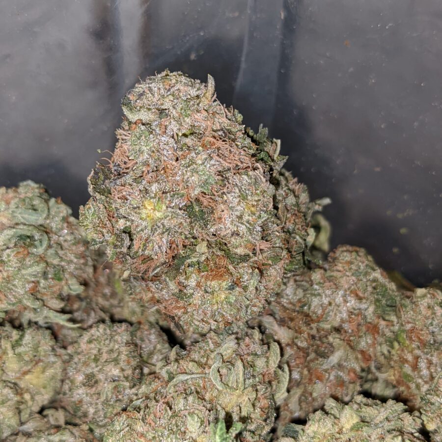 rockstar masterkush 3 I Rockstar Master Kush