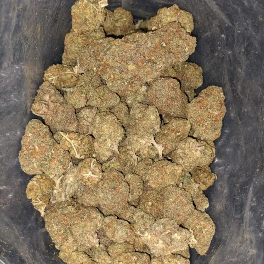 sour bubba deal of the dy 1 I Sour Bubba - *Deal Of The Day*