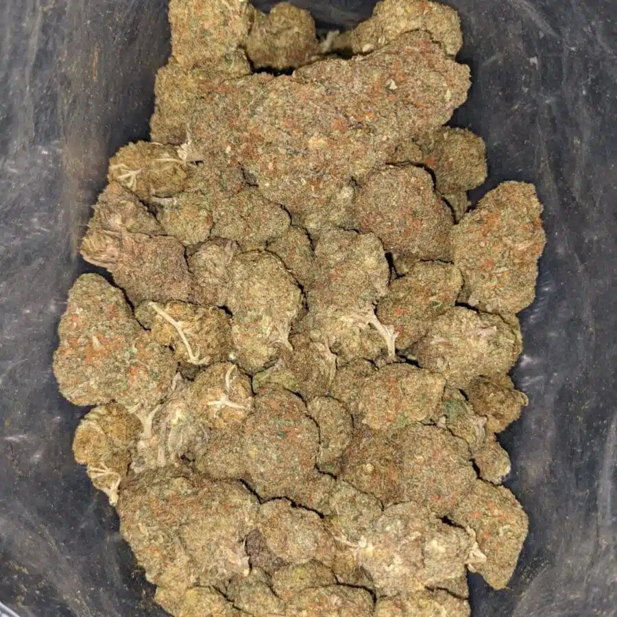 sour bubba deal of the dy 2 I Sour Bubba - *Deal Of The Day*