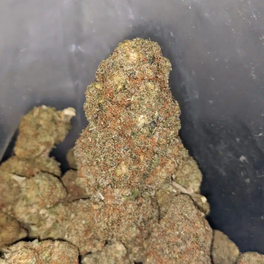 sour bubba deal of the dy 3 I Sour Bubba - *Deal Of The Day*