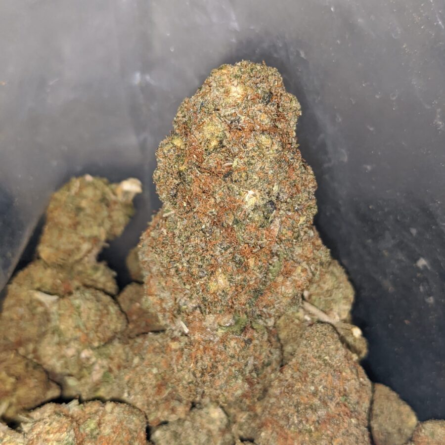 Sour Bubba - *Deal Of The Day* - Image 5