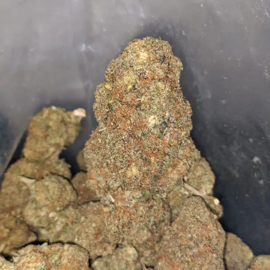 sour bubba deal of the dy 4 I Sour Bubba - *Deal Of The Day*