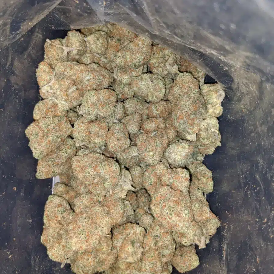 sugar cookies aaa 1 I $ 73 Oz - Sugar Cookies