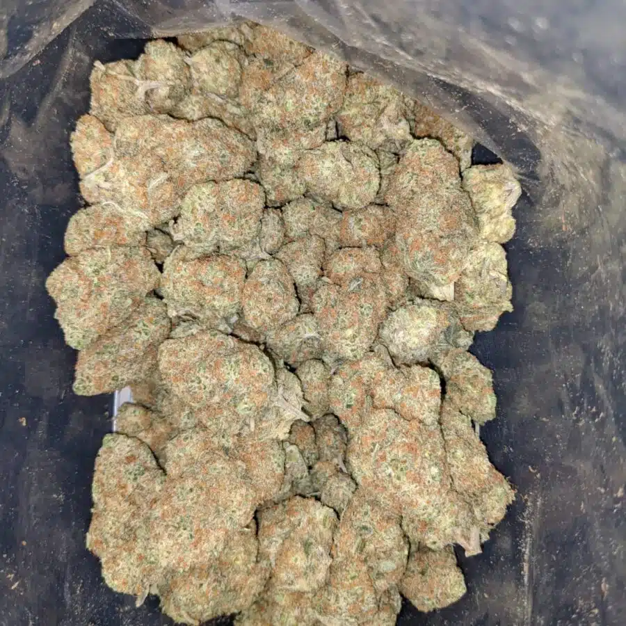 sugar cookies aaa 2 I $ 73 Oz - Sugar Cookies
