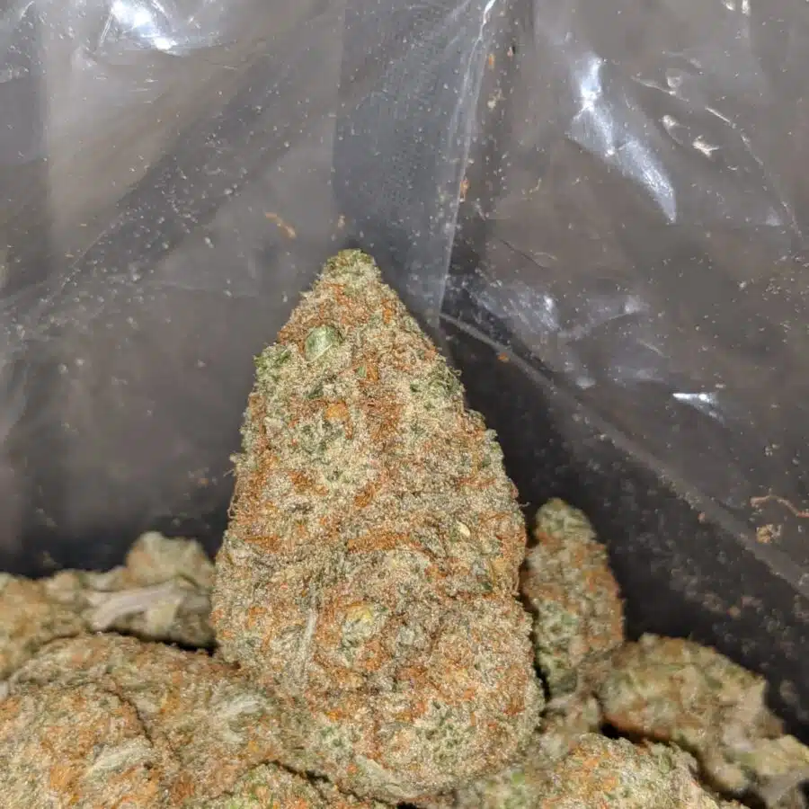 sugar cookies aaa 3 I $ 73 Oz - Sugar Cookies