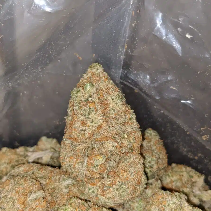 sugar cookies aaa 4 I $ 73 Oz - Sugar Cookies