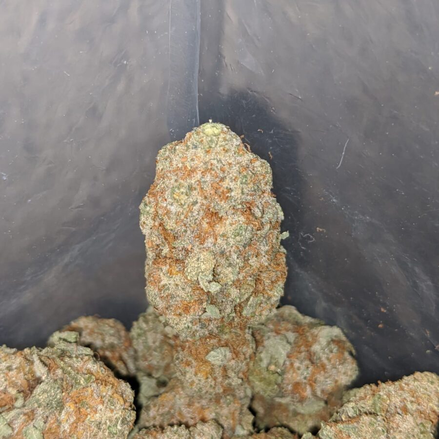 White Strawberry Cough - Image 7