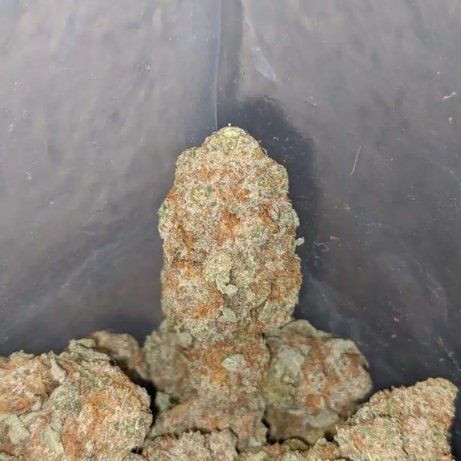 white strawberry cough 4 1 I White Strawberry Cough