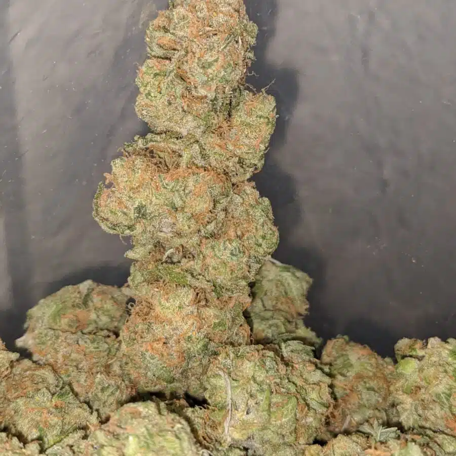 zedd 3 I Zombie Kush OG