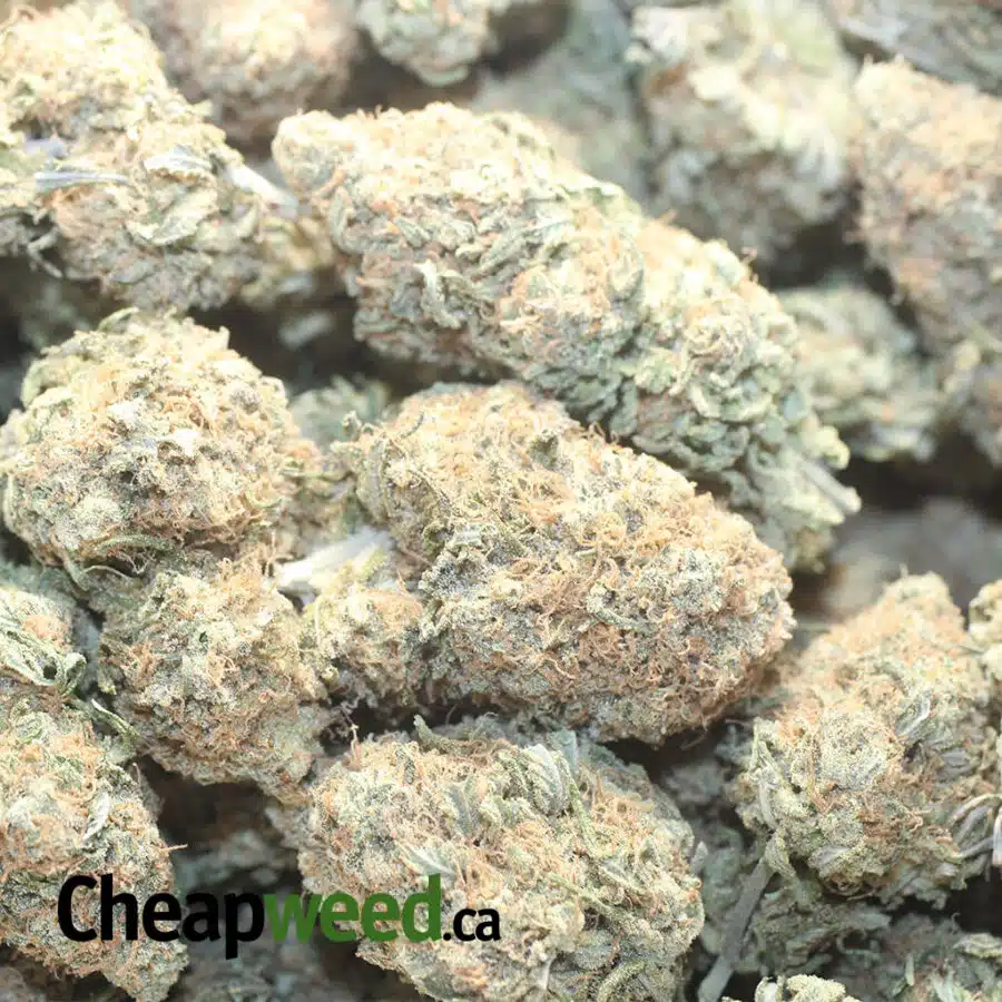 B BOMB 1 I $ 67 Oz - Berry Bomb