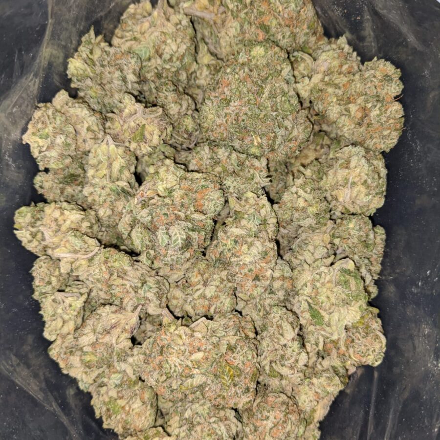 BUBBLEBERRY 1 I Bubbleberry