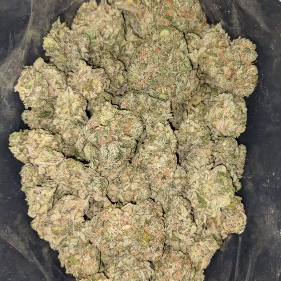 BUBBLEBERRY 1 I Bubbleberry