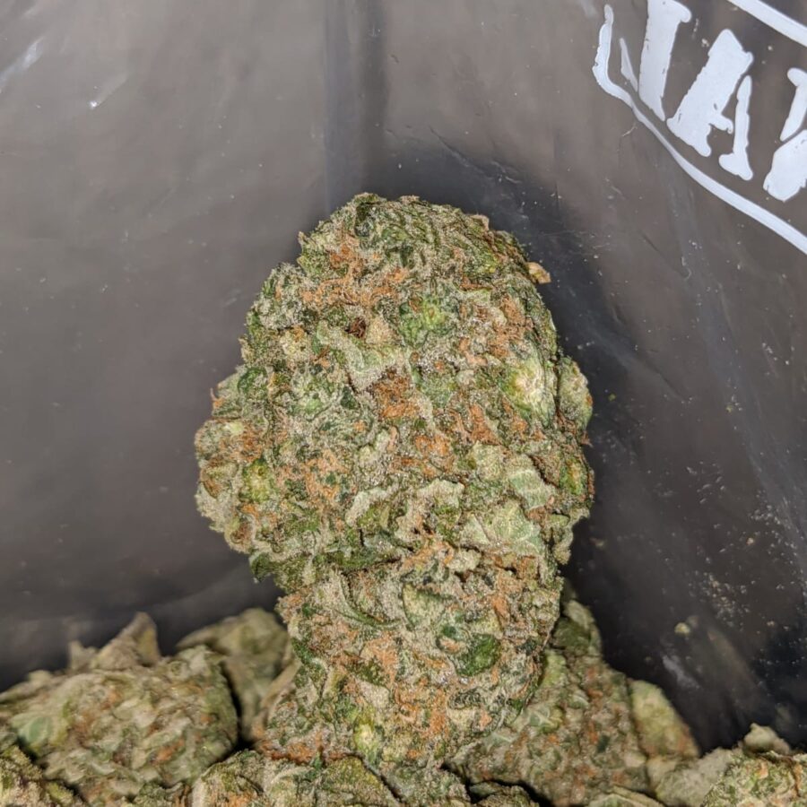 BUBBLEBERRY 3 I Bubbleberry