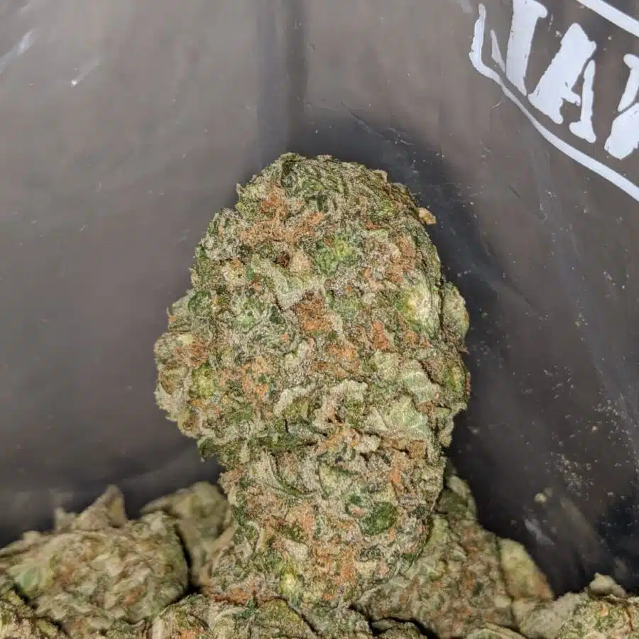 Alternative view of Bubbleberry