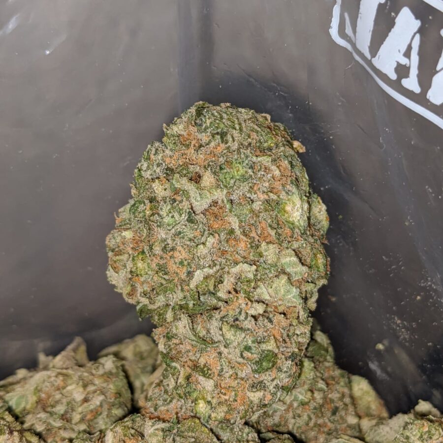 BUBBLEBERRY 4 I Bubbleberry