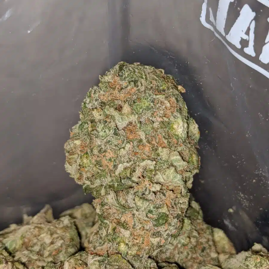 BUBBLEBERRY 4 I Bubbleberry