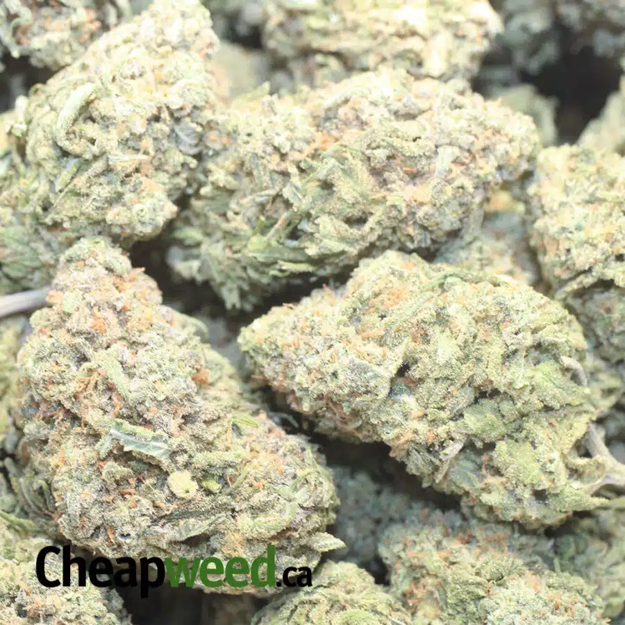 G NUKEN 1 I $69 Oz - Green Nuken