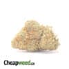 $ 69 Oz - Gruntz