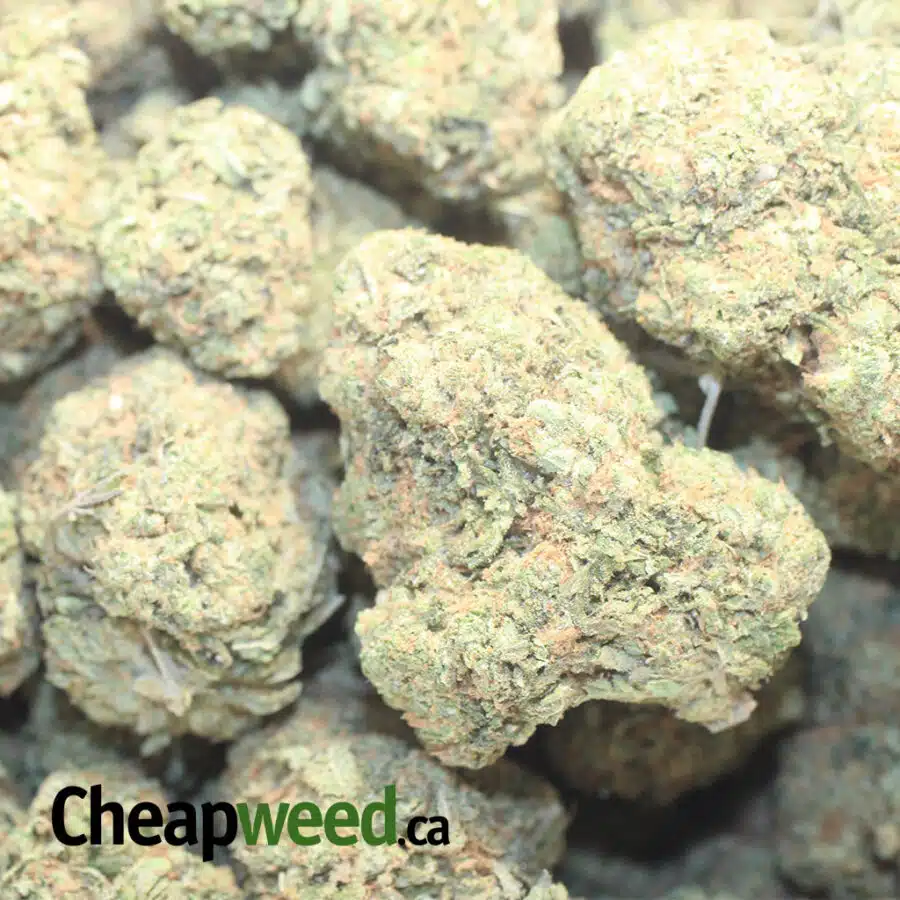 K MINTS 1 I $80 Oz - Kush Mints
