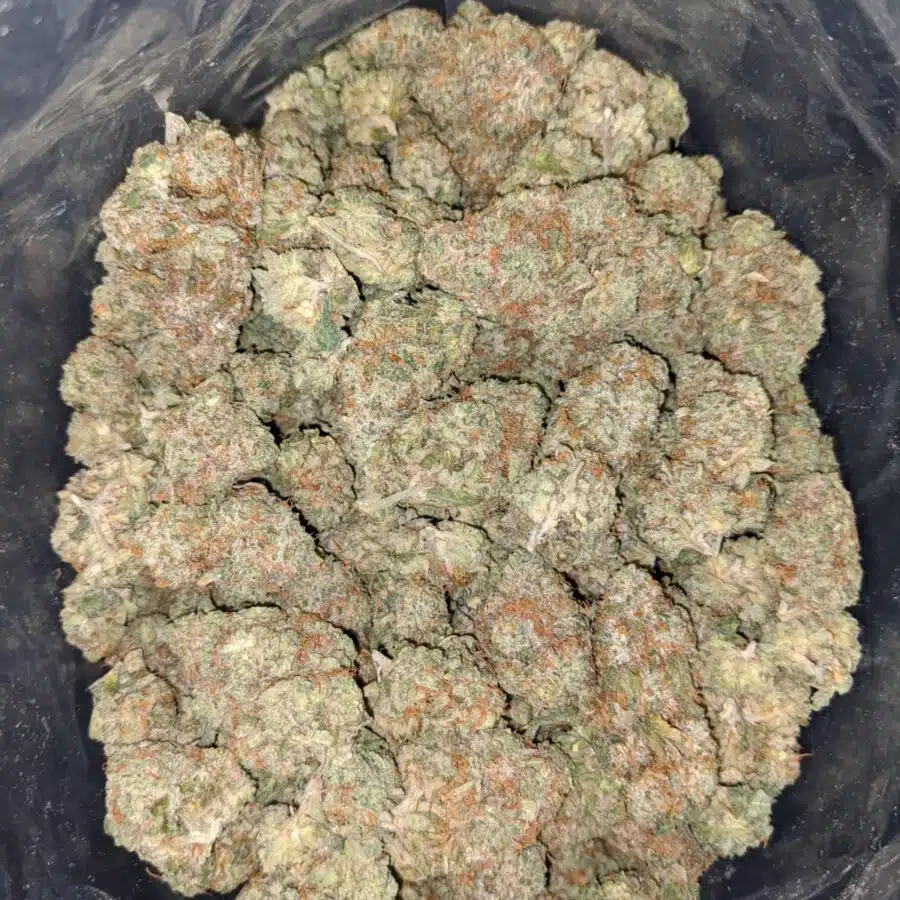 NINJA FRUIT 2 I $60 Oz - Ninja Fruit