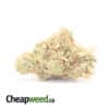 Nuken Bulk Special