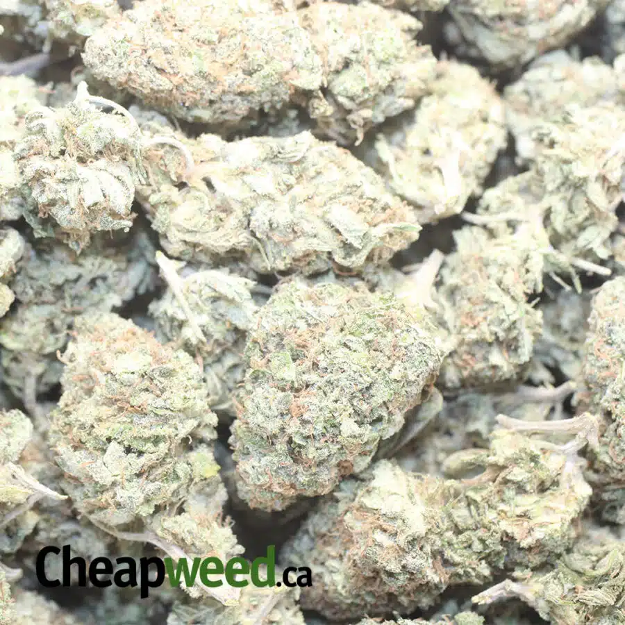 PEACH N CREAM 1 I $ 68 Oz - Peaches & Cream