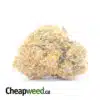 Platinum Girl Scout Cookies