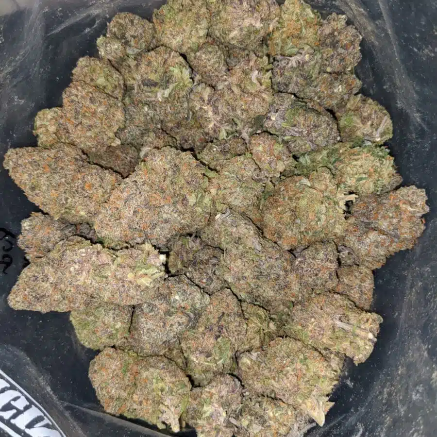PURPLE THUNDERFUCK 2 I Purple Thunderfuck