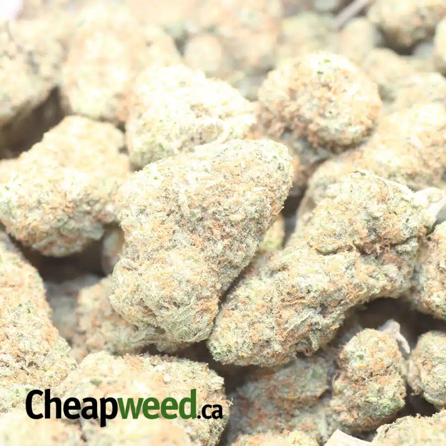 S COOKIES AAA 3 I $ 73 Oz - Sugar Cookies