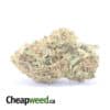 $69 Oz - Sherbert