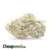 $69 Oz - Sherbert