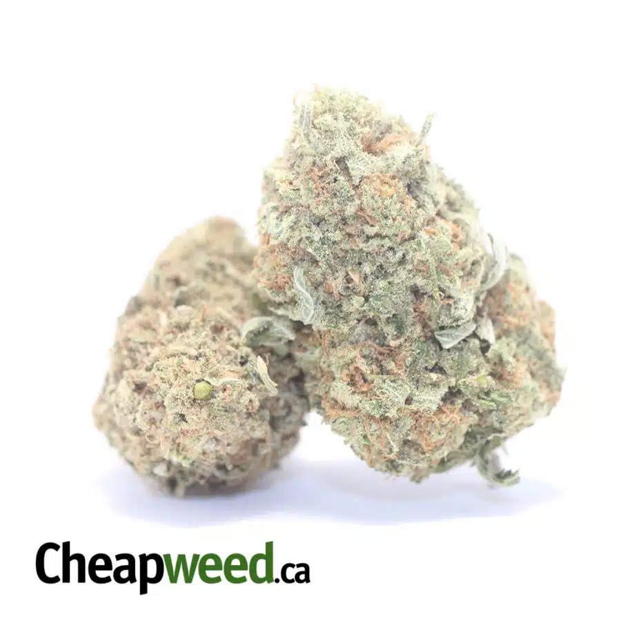 SHERBERT 3 I $69 Oz - Sherbert