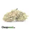 Tuna Kush #2