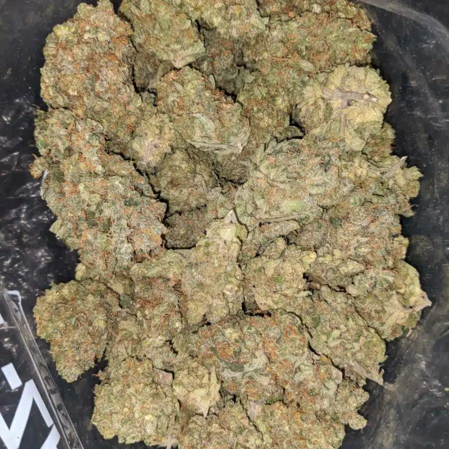 apple jack 1 I Apple Jack
