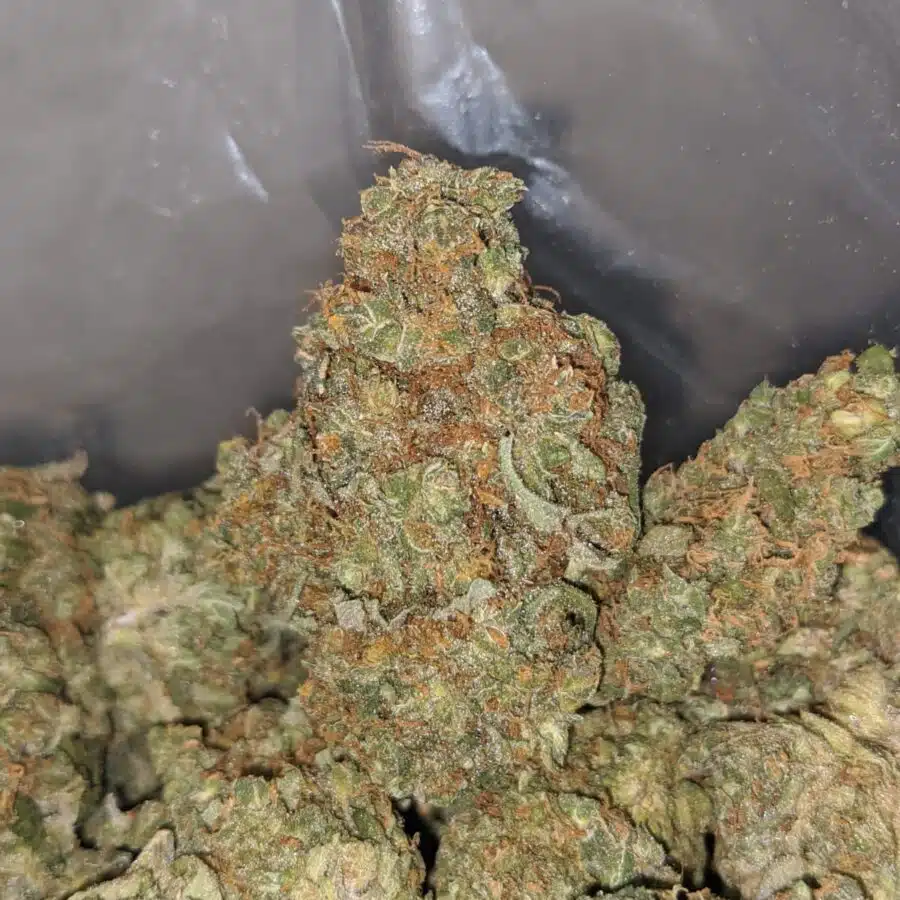 apple jack 3 I Apple Jack