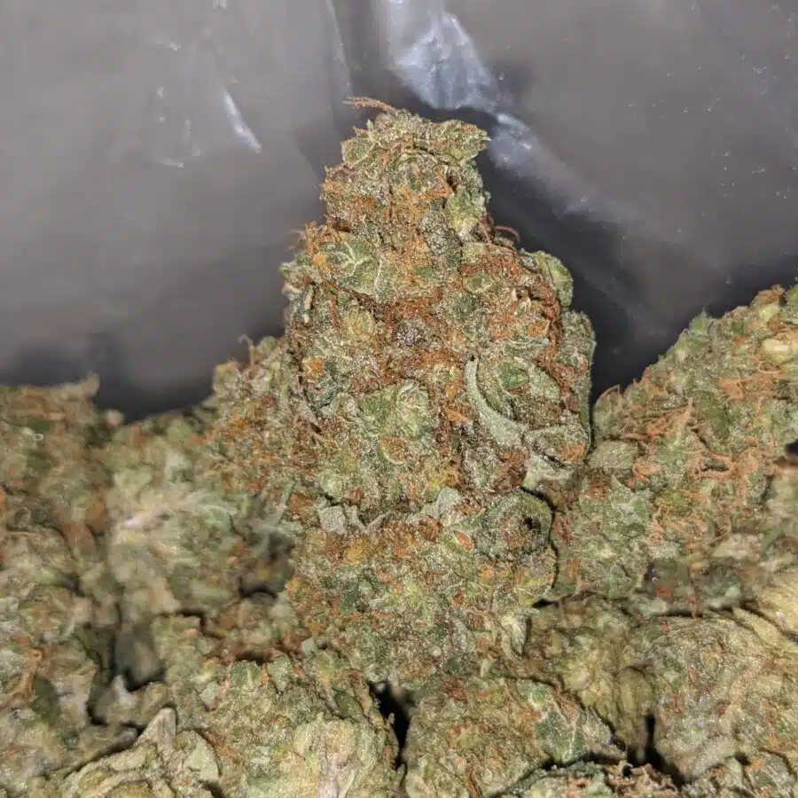 apple jack 4 I Apple Jack