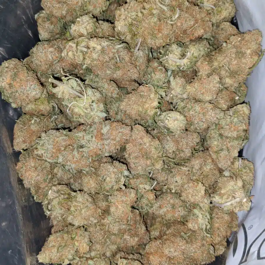 berry bomb 1 I $ 67 Oz - Berry Bomb