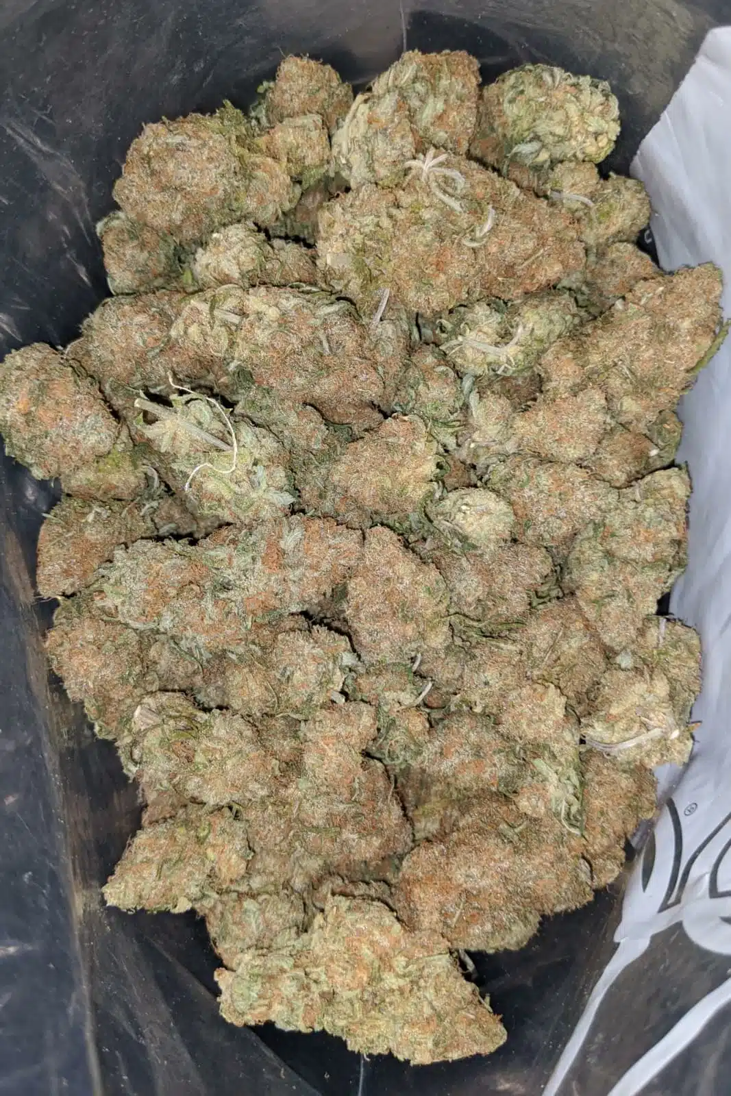 $ 67 Oz - Berry Bomb - Image 5