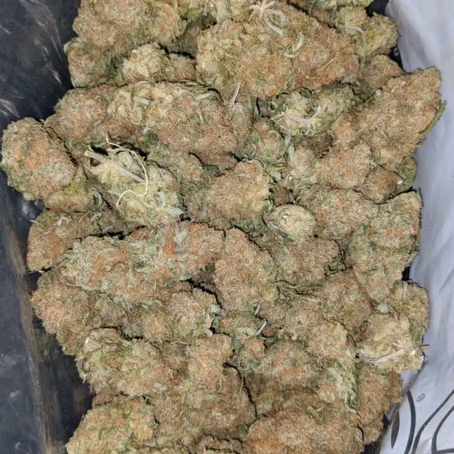 berry bomb 2 I $ 67 Oz - Berry Bomb