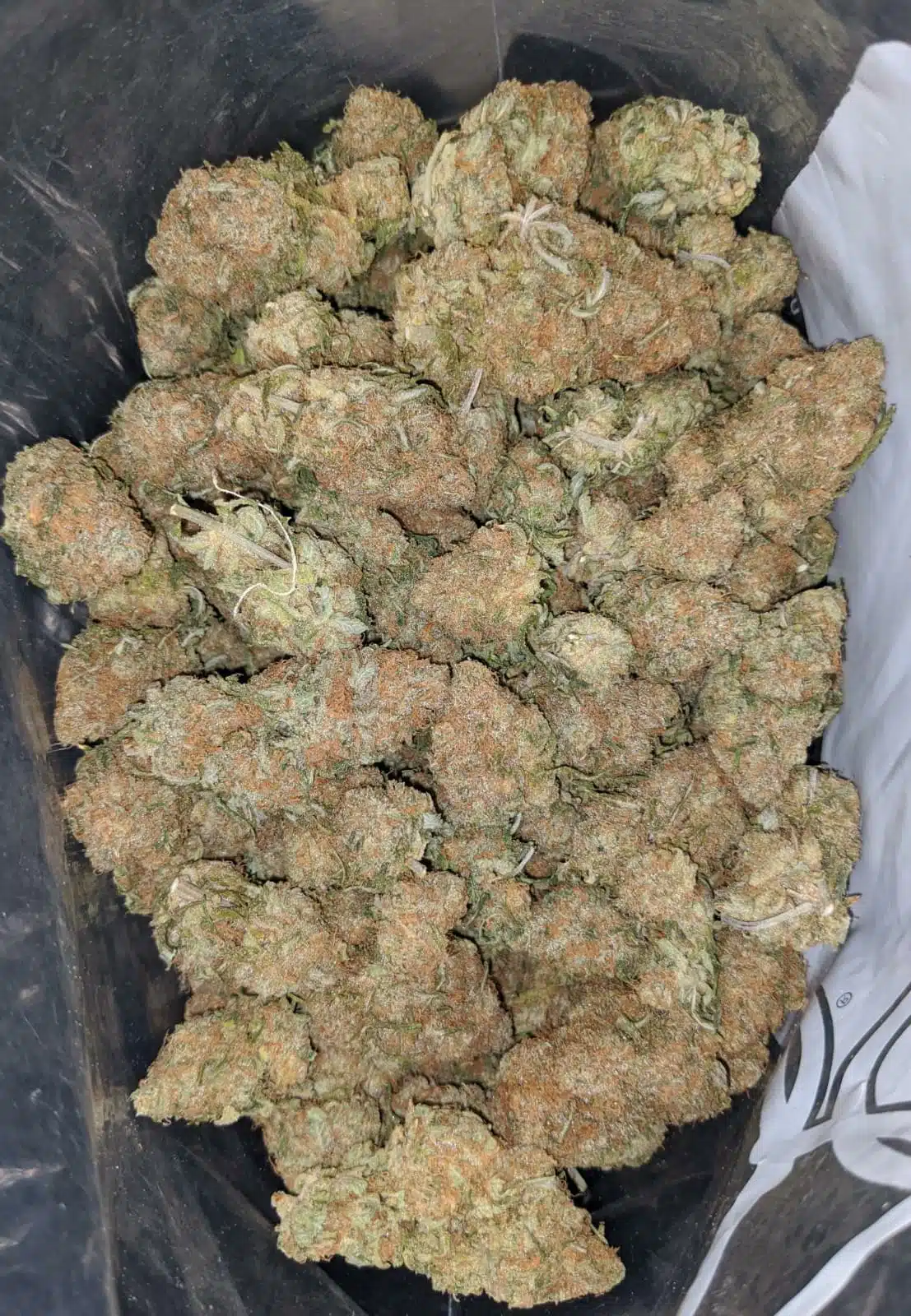 $ 67 Oz - Berry Bomb - Image 4