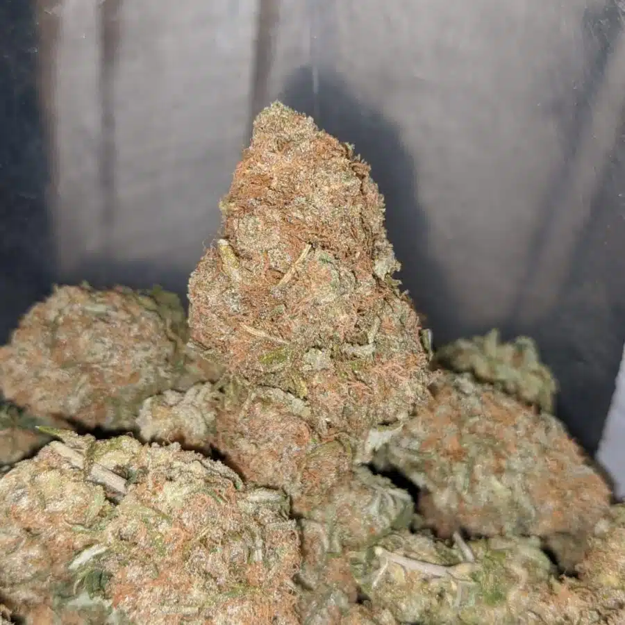 berry bomb 3 I $ 67 Oz - Berry Bomb