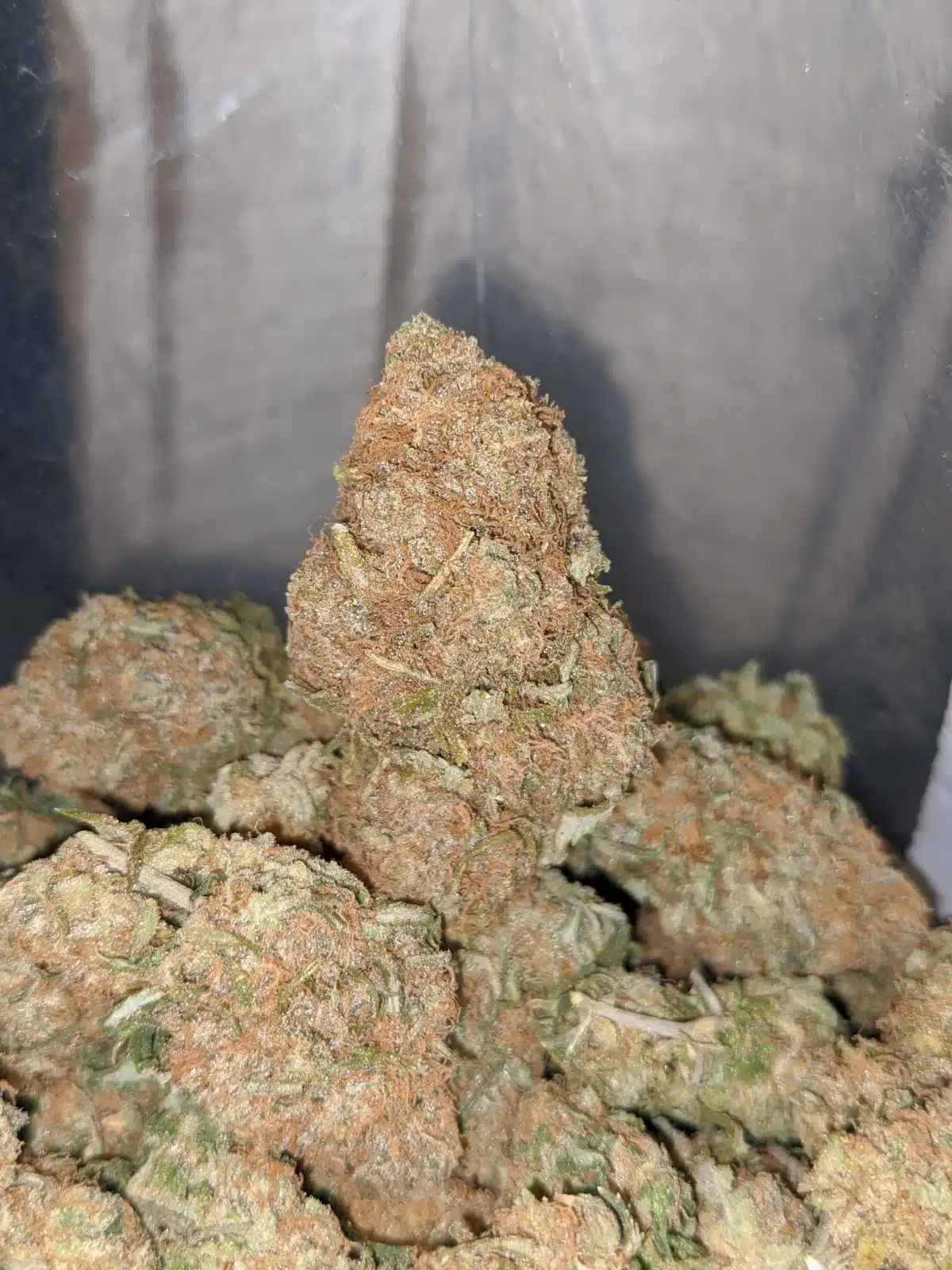 $ 67 Oz - Berry Bomb - Image 7