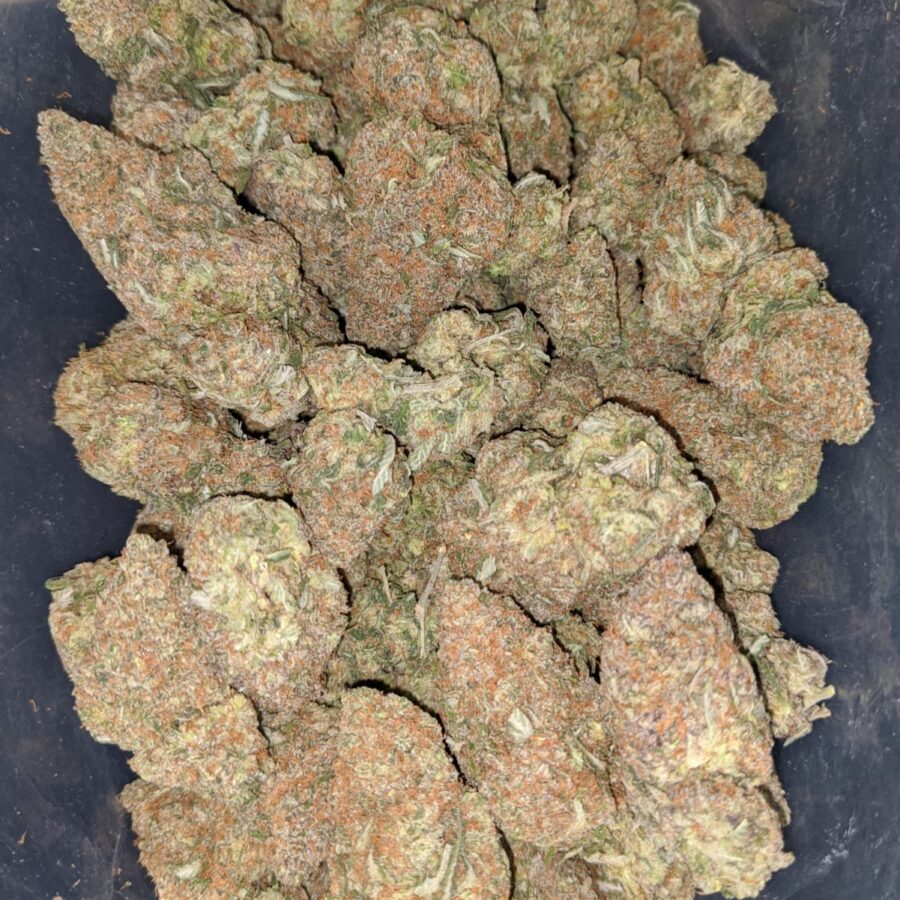 bubblegum gelato 1 I Bubblegum Gelato
