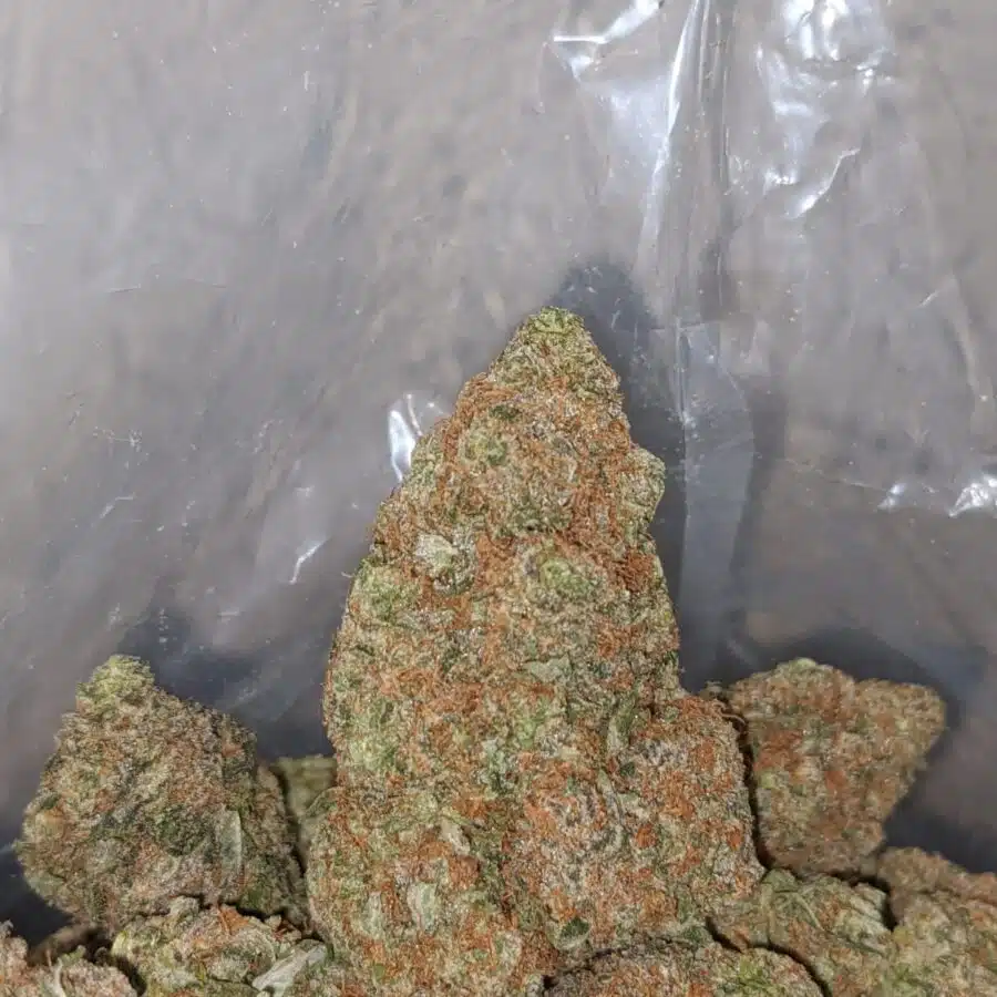 bubblegum gelato 4 I Bubblegum Gelato