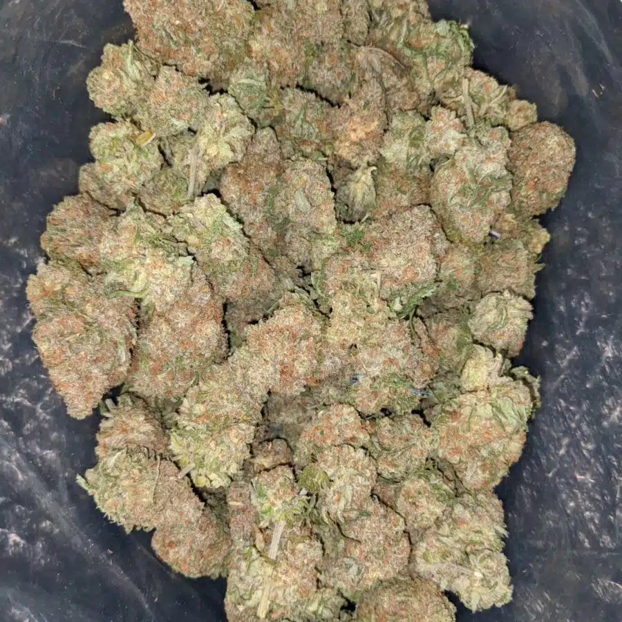 chocolope 1 I $ 69 Oz - Chocolope