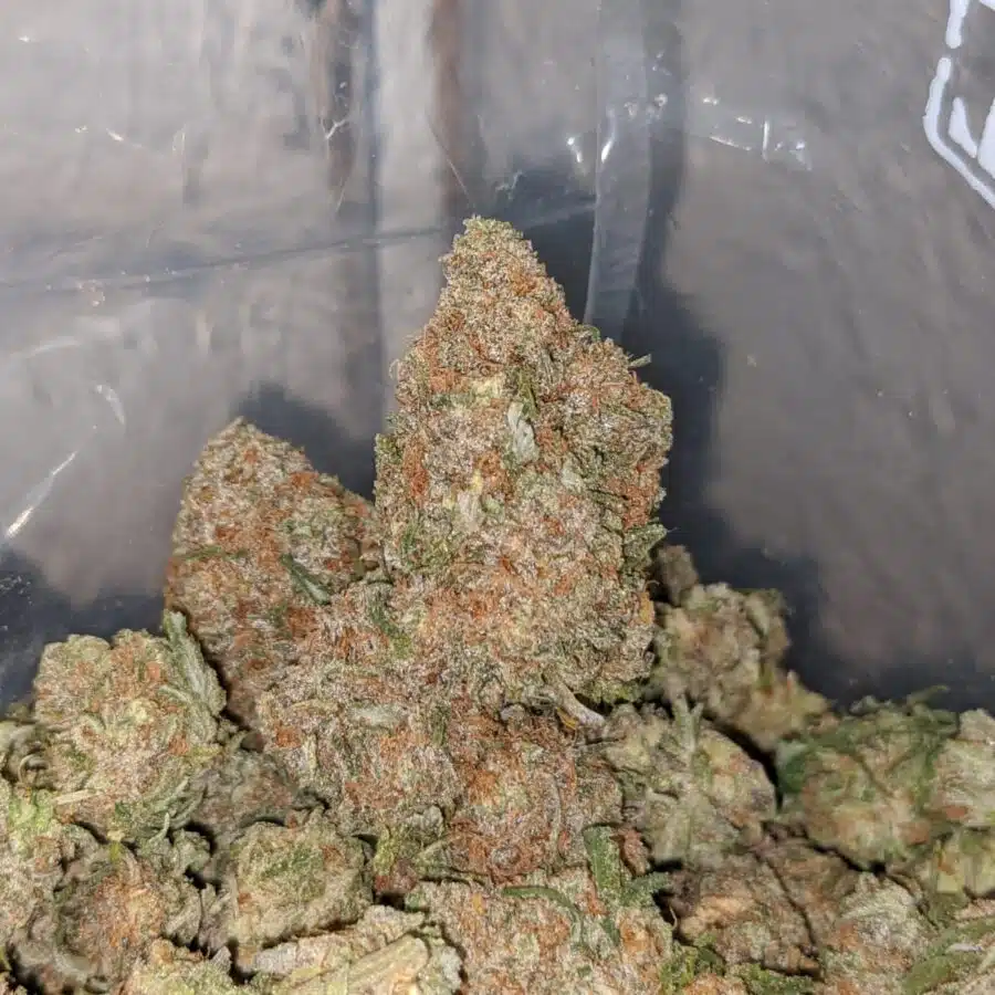 chocolope 3 I $ 69 Oz - Chocolope
