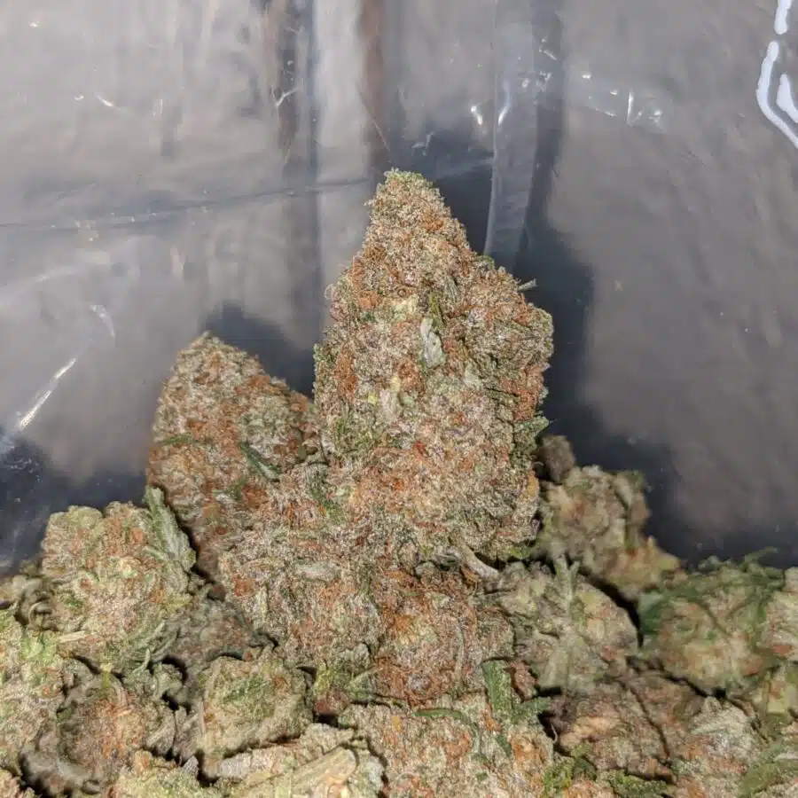 chocolope 4 I $ 69 Oz - Chocolope