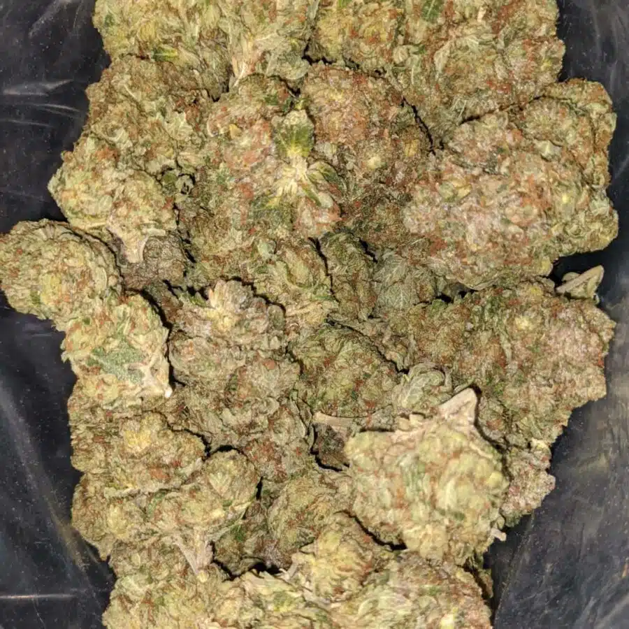 crystal coma 1 I Crystal Coma