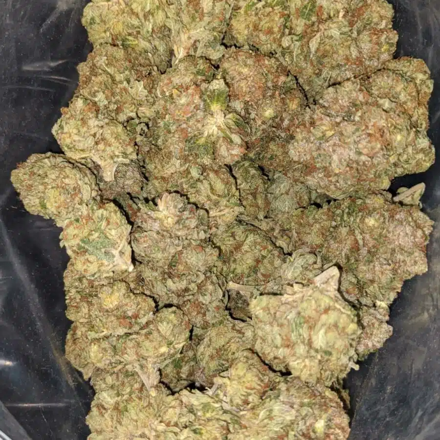 crystal coma 2 I Crystal Coma