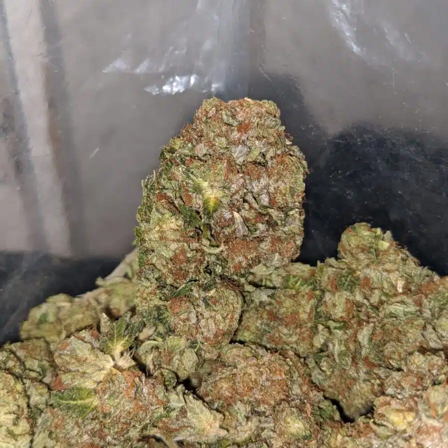 crystal coma 3 I Crystal Coma